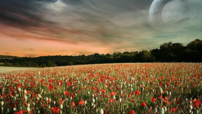 golang比j***a编码效率高太多，为什么各大厂还在继续用j***a而不是重构整个项目？